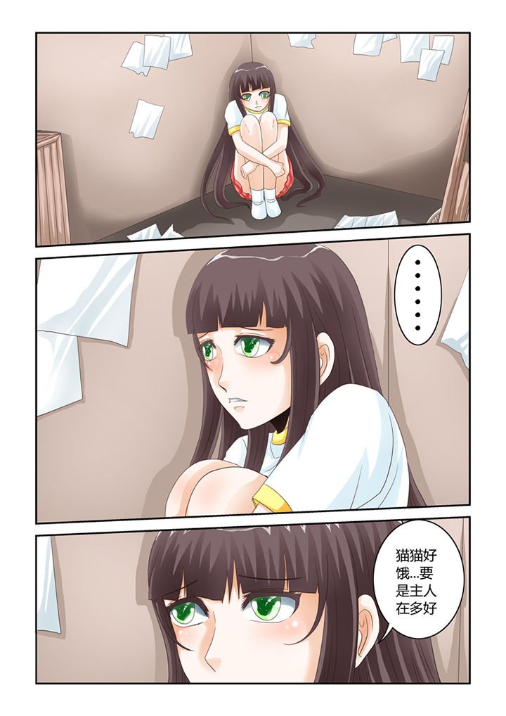 第54章：流浪猫