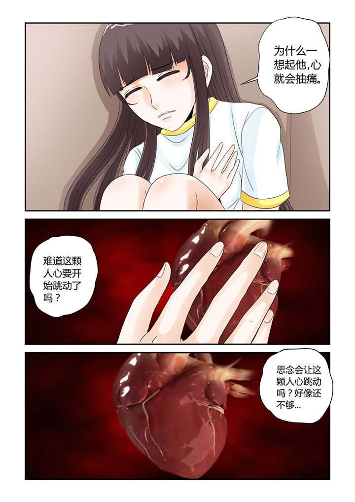 第54章：流浪猫