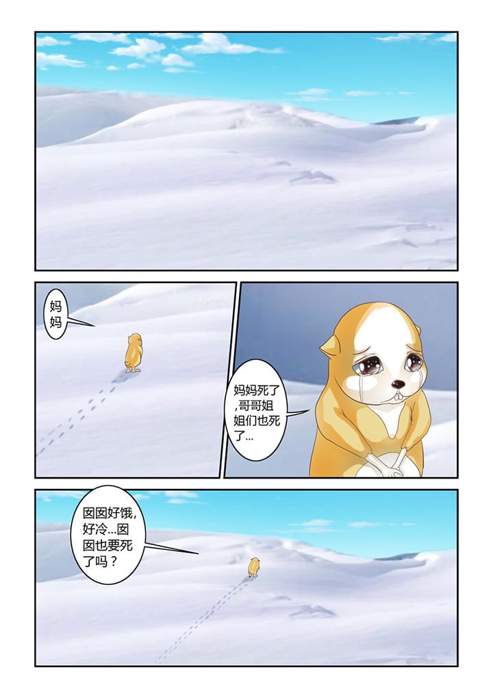 第56章：仓鼠的回忆