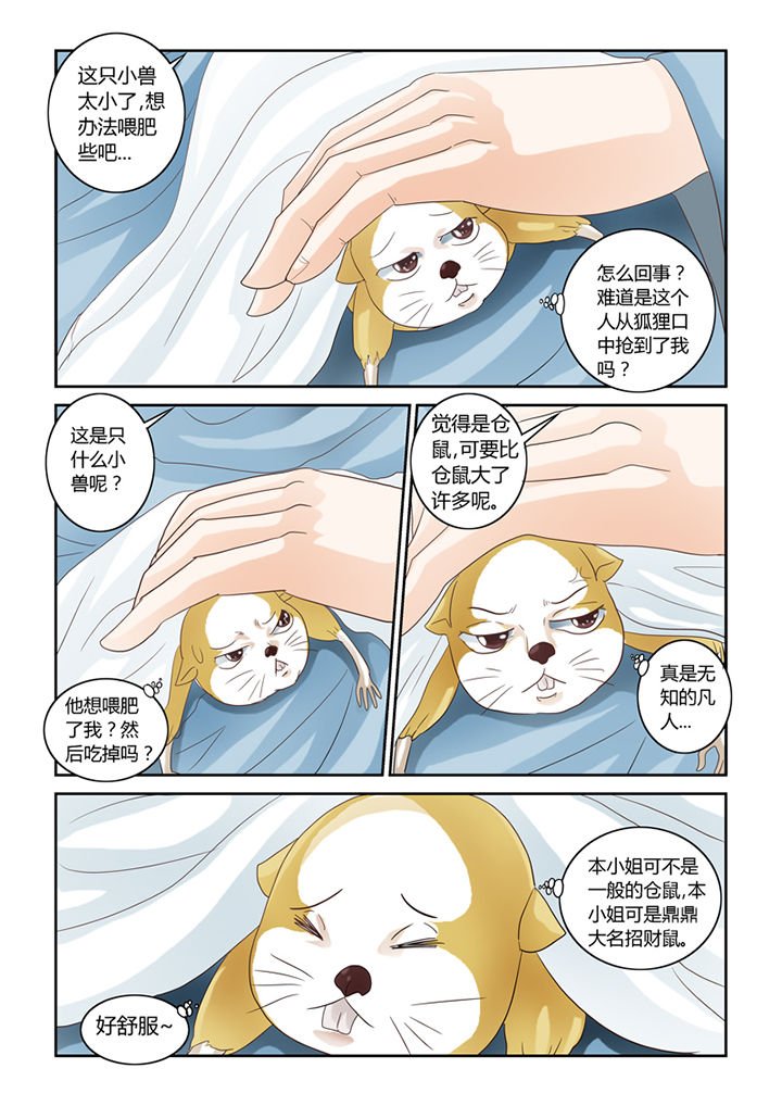 第56章：仓鼠的回忆