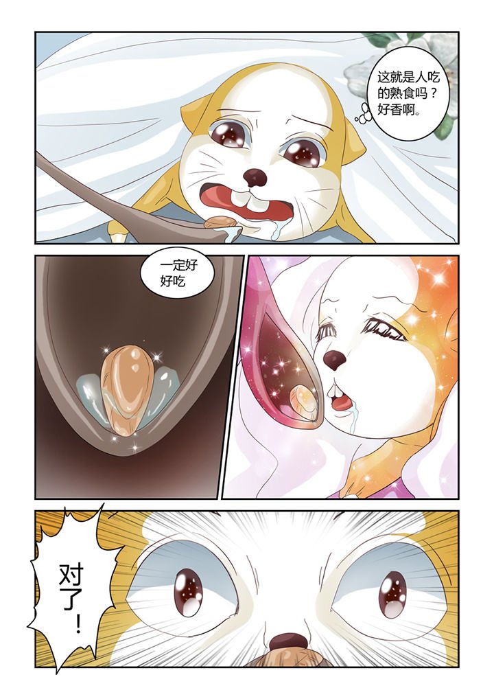 第56章：仓鼠的回忆
