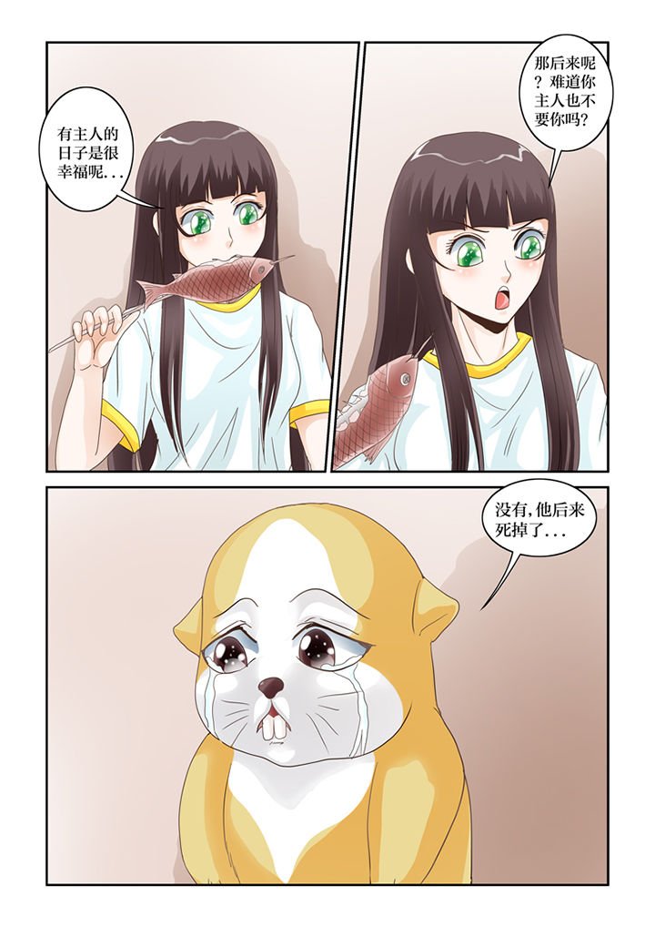 第57章：招财进宝