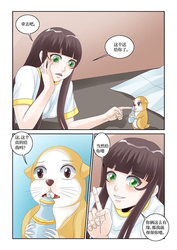 第60章：化形