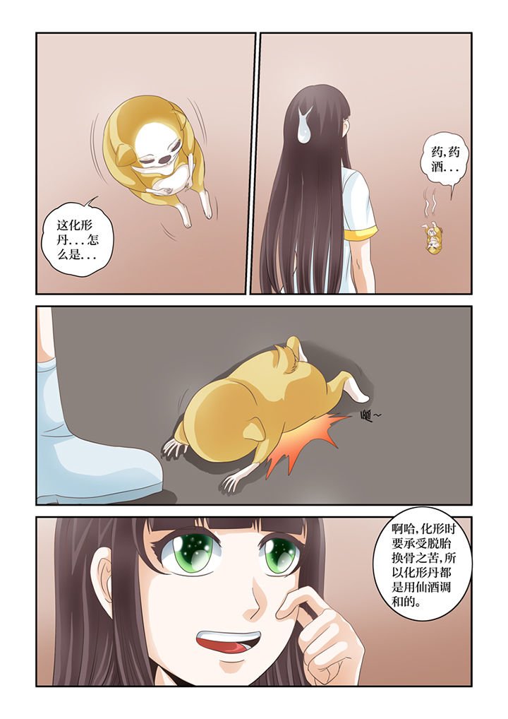 第60章：化形