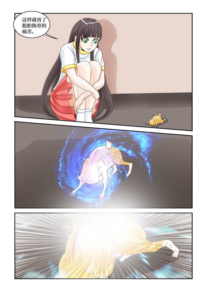 第60章：化形