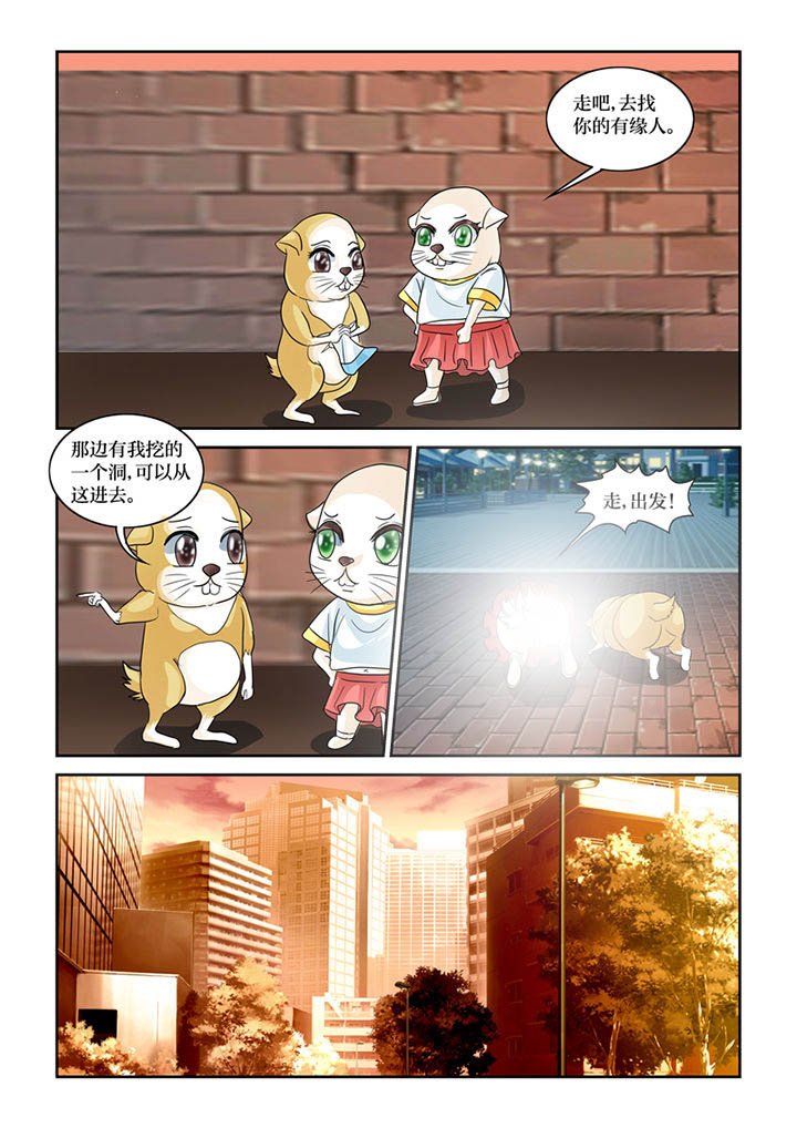 第61章：转世书生