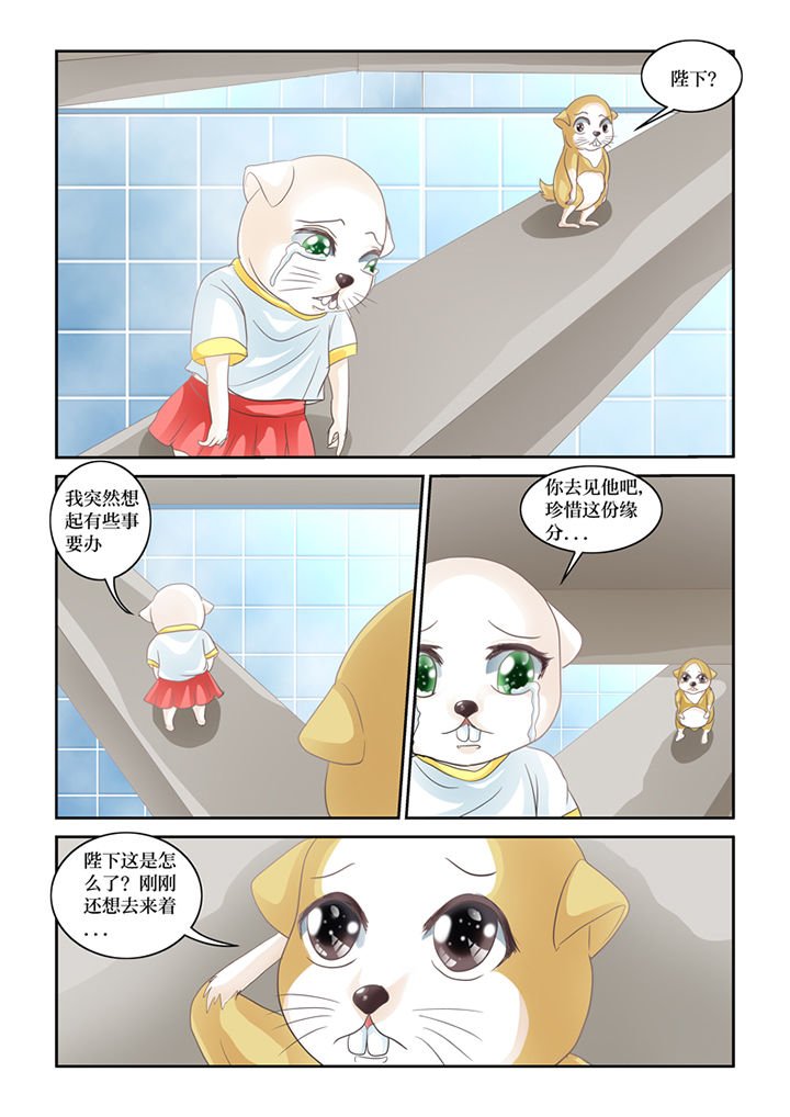 第62章：误会