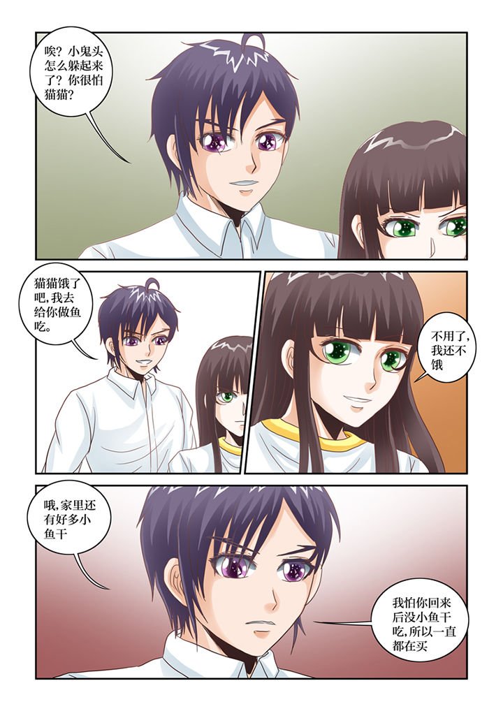 第66章：猫猫回家了（1）