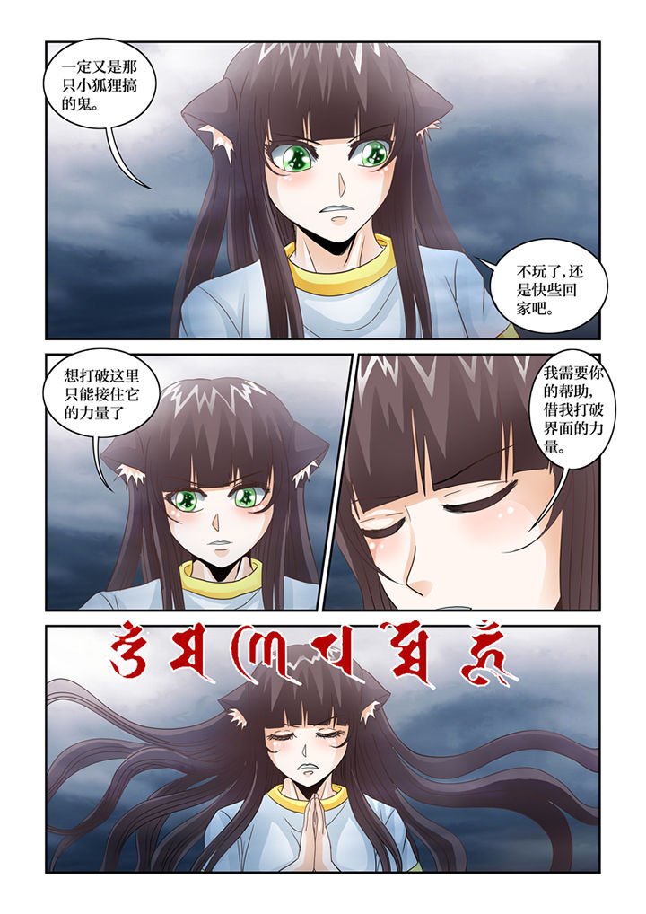 第66章：猫猫回家了（1）