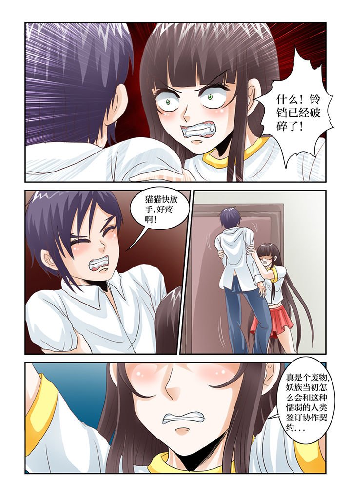 第66章：猫猫回家了（1）
