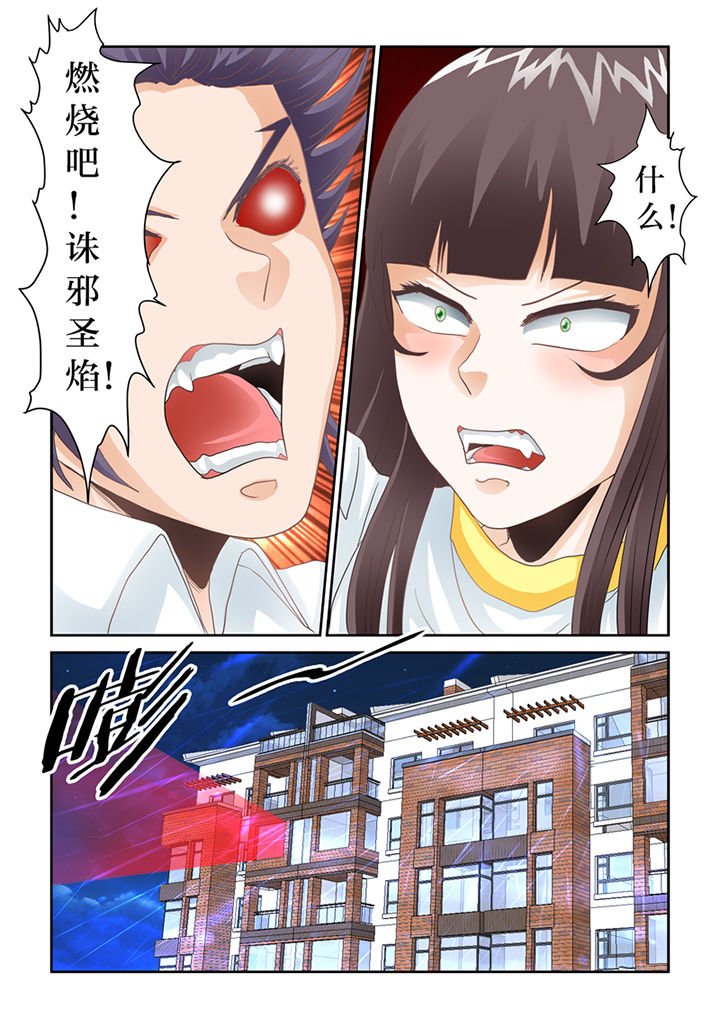 第66章：猫猫回家了（1）