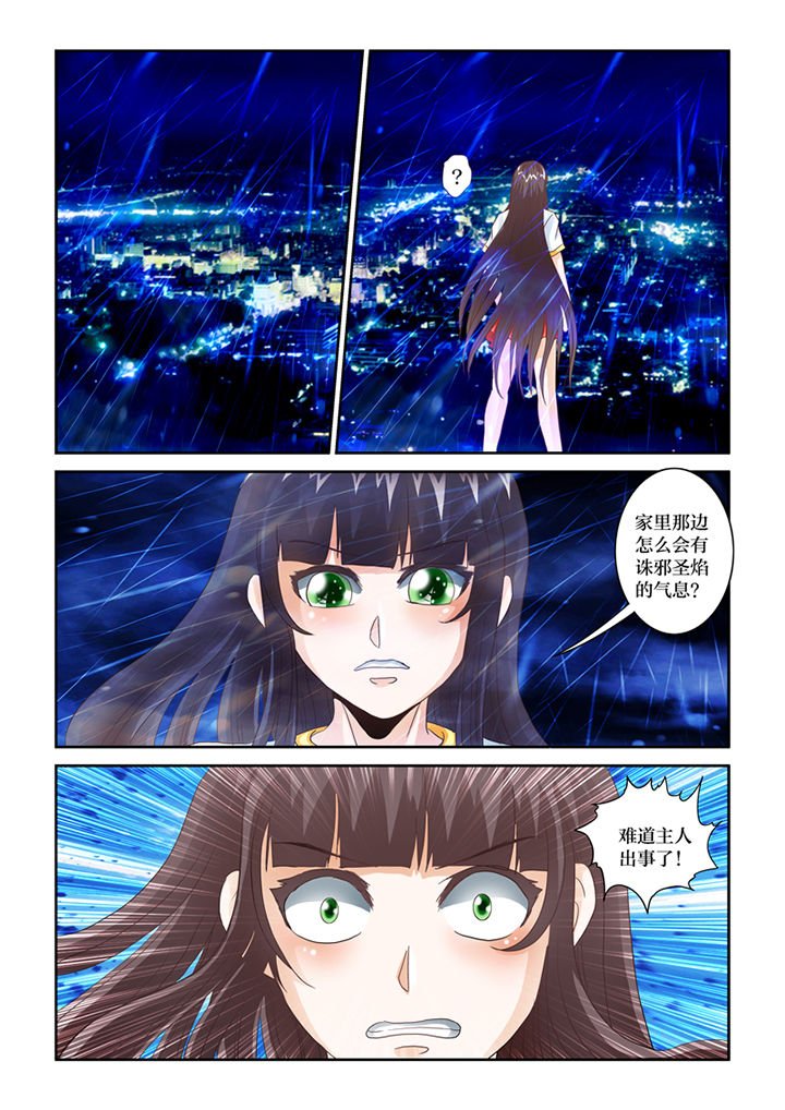 第66章：猫猫回家了（1）