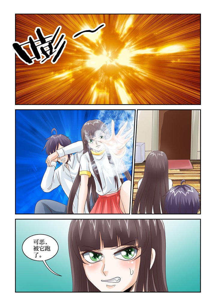 第67章：猫猫回家了（2）