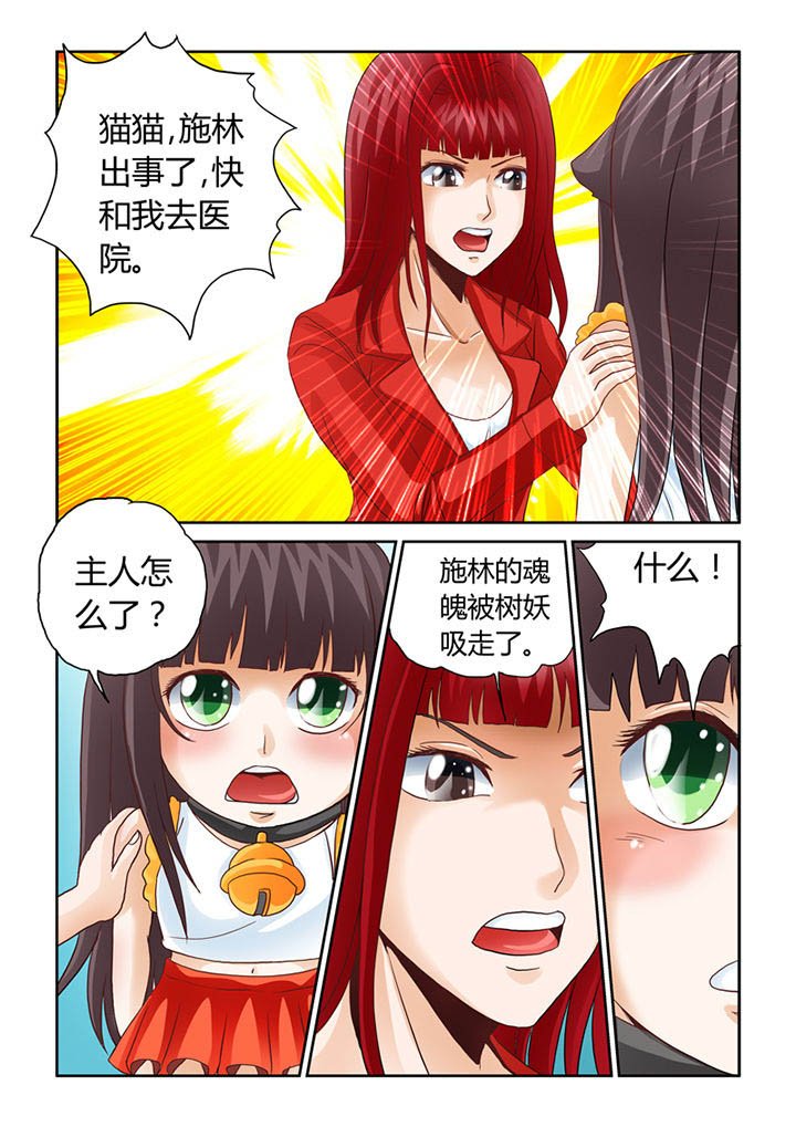 第8章：被吞噬的魂魄