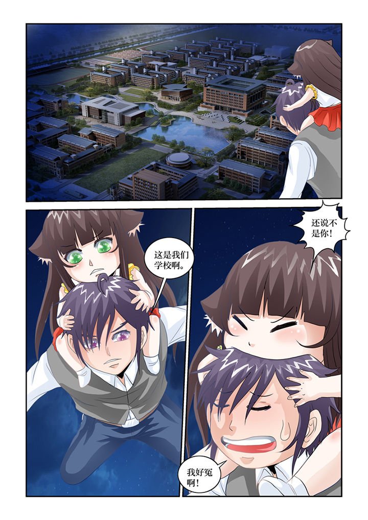 第81章：记忆之门