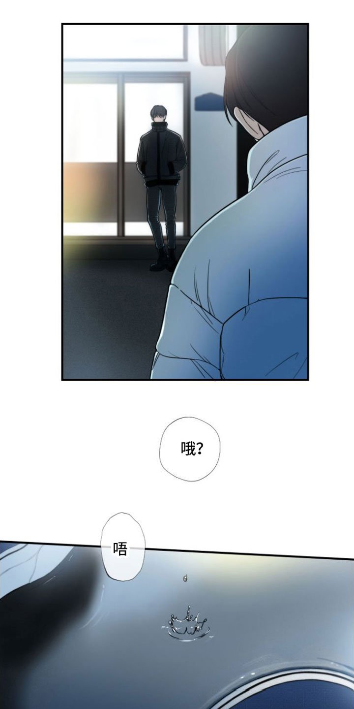 第1章：喜欢的人