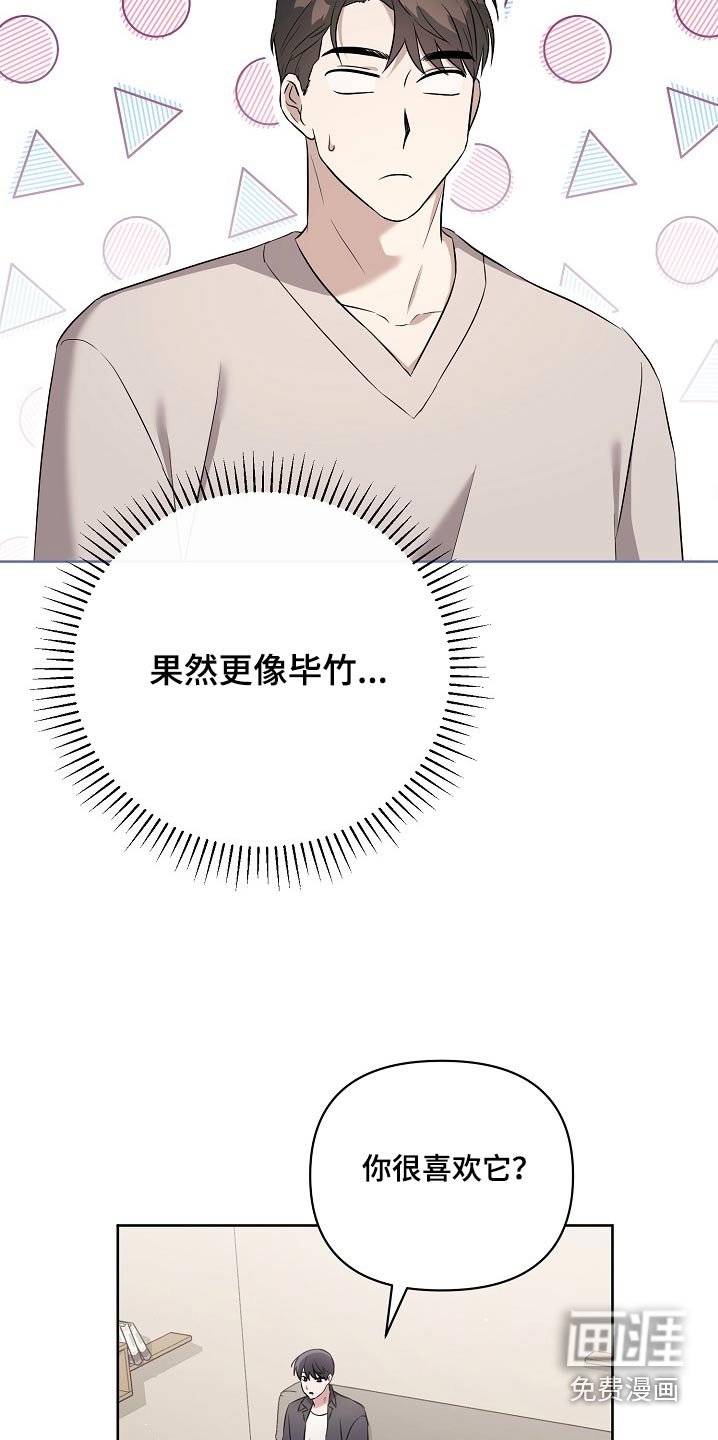 第40章：娃娃