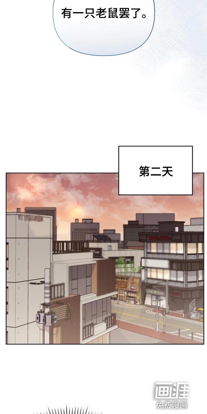 第43章：老鼠