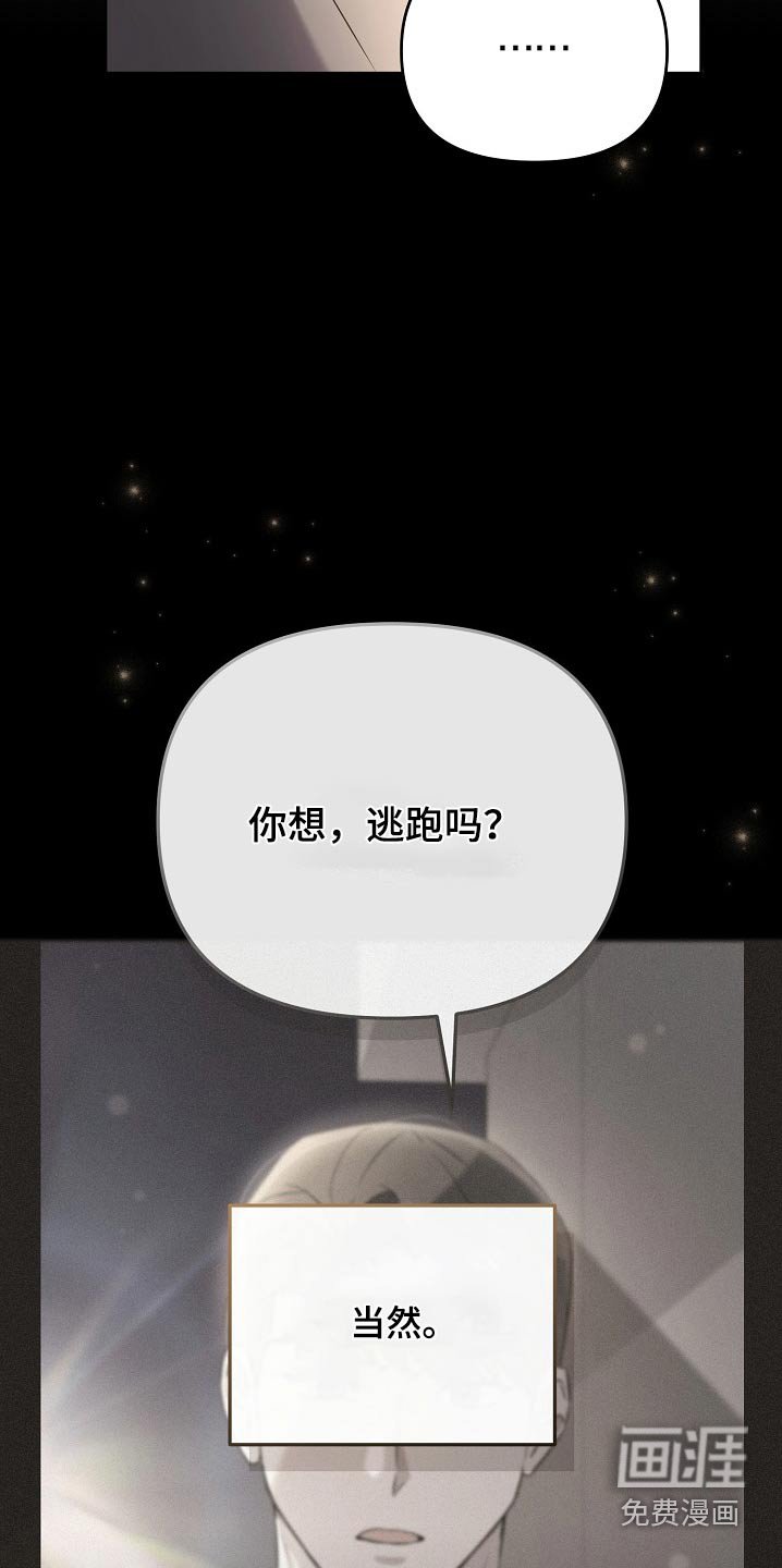 第51章：发布会