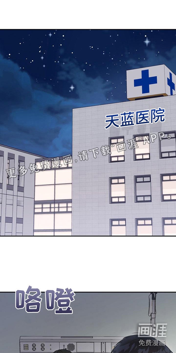 第7章：理想型