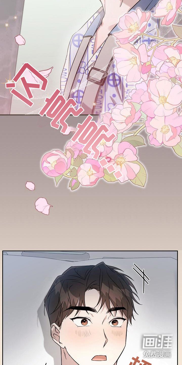 第7章：理想型