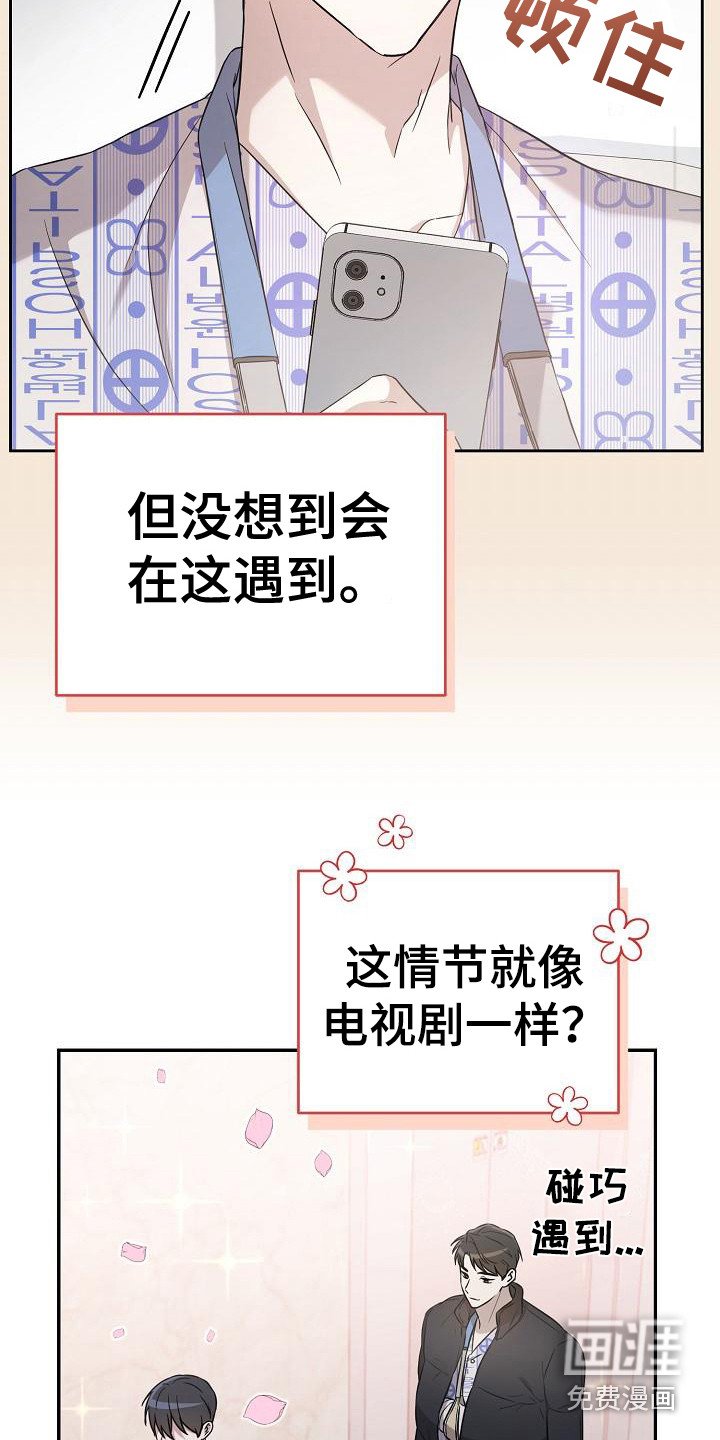 第7章：理想型