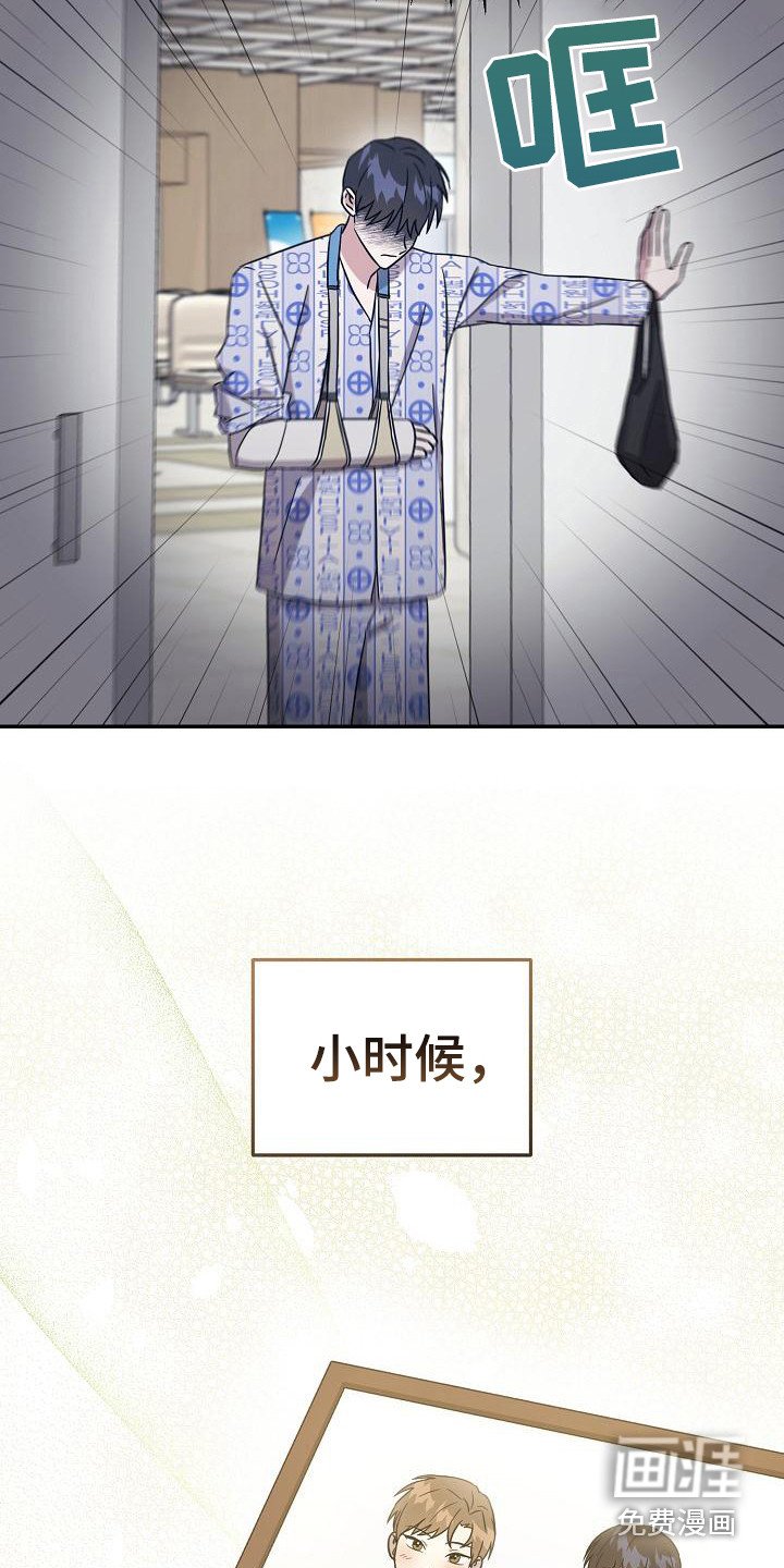 第7章：理想型