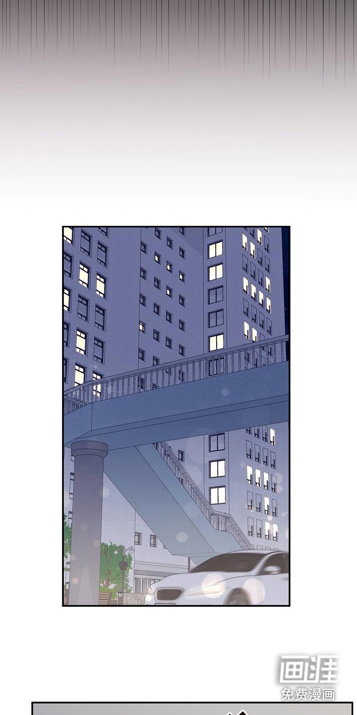 第7章：理想型