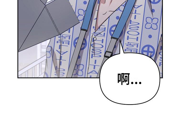 第7章：理想型