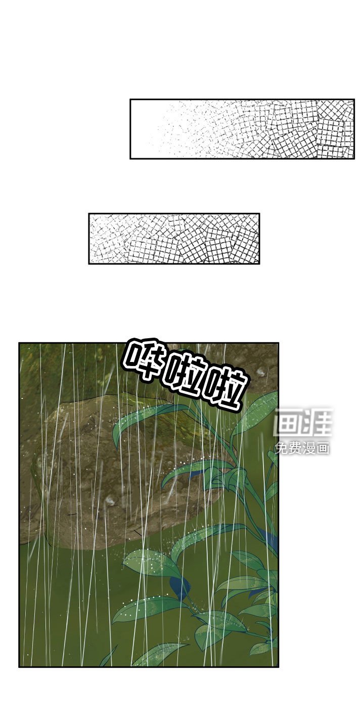 第64章：坠崖