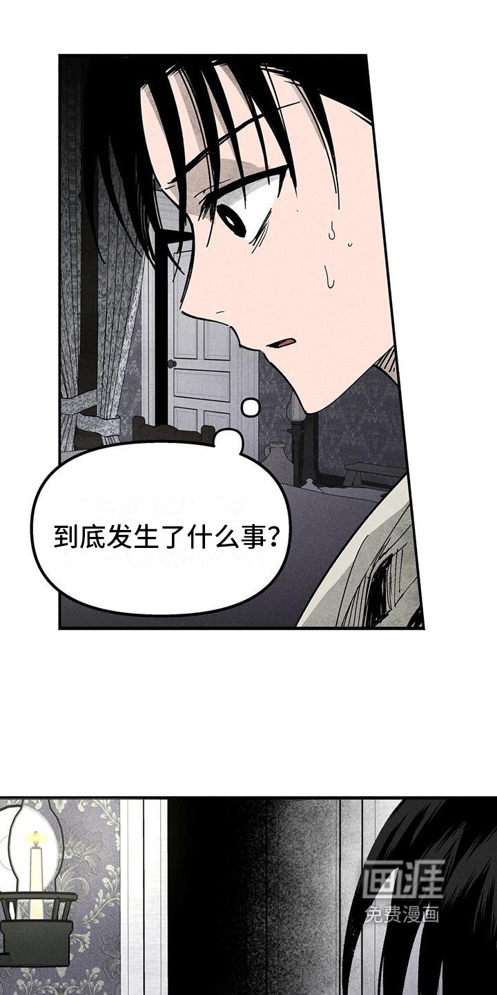 第11章：双胞胎