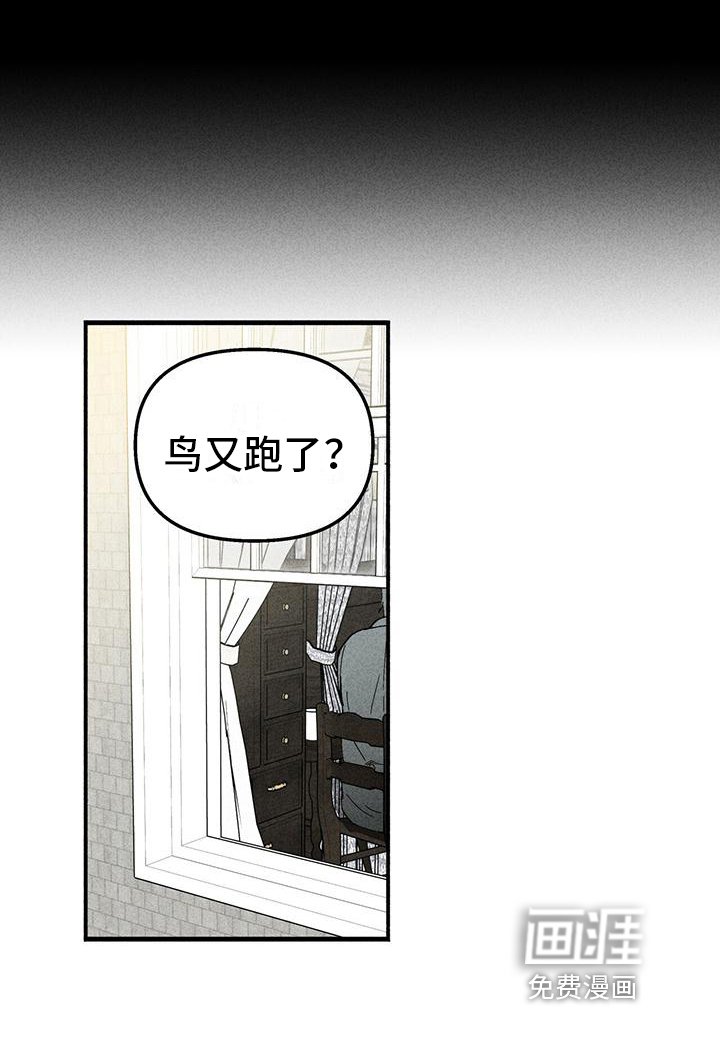 第11章：双胞胎