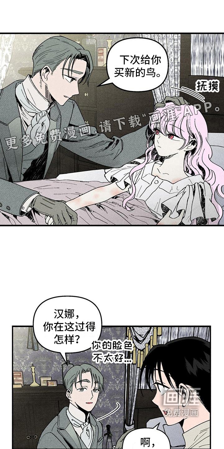 第12章：问题