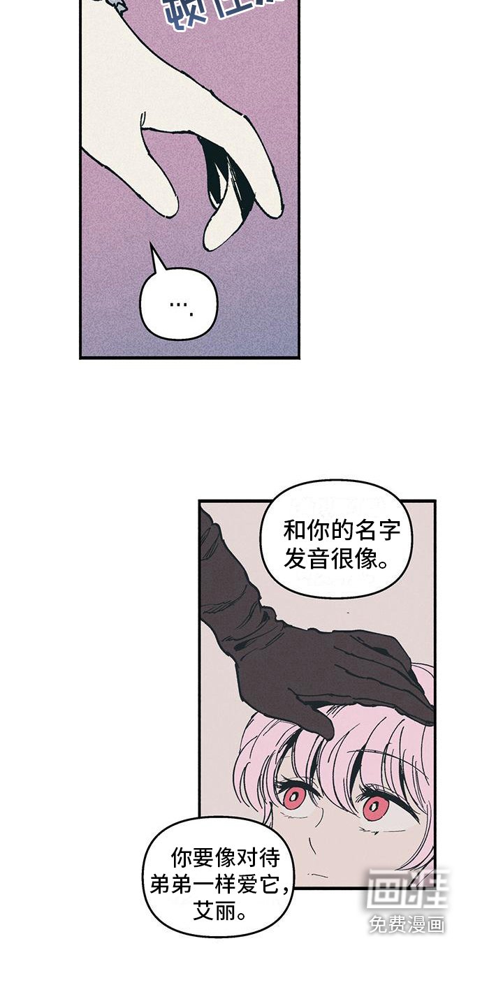 第18章：迟疑