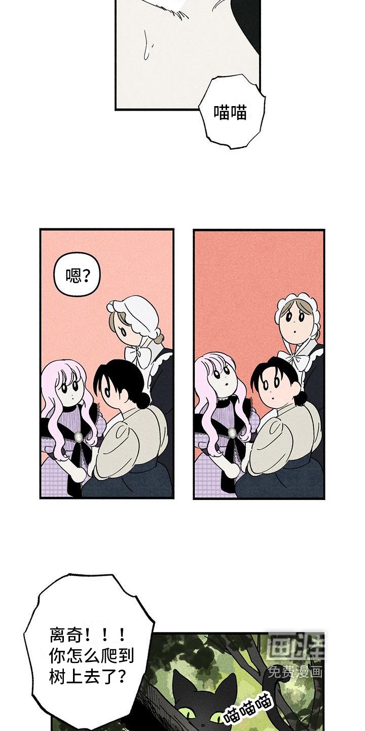 第25章：询问