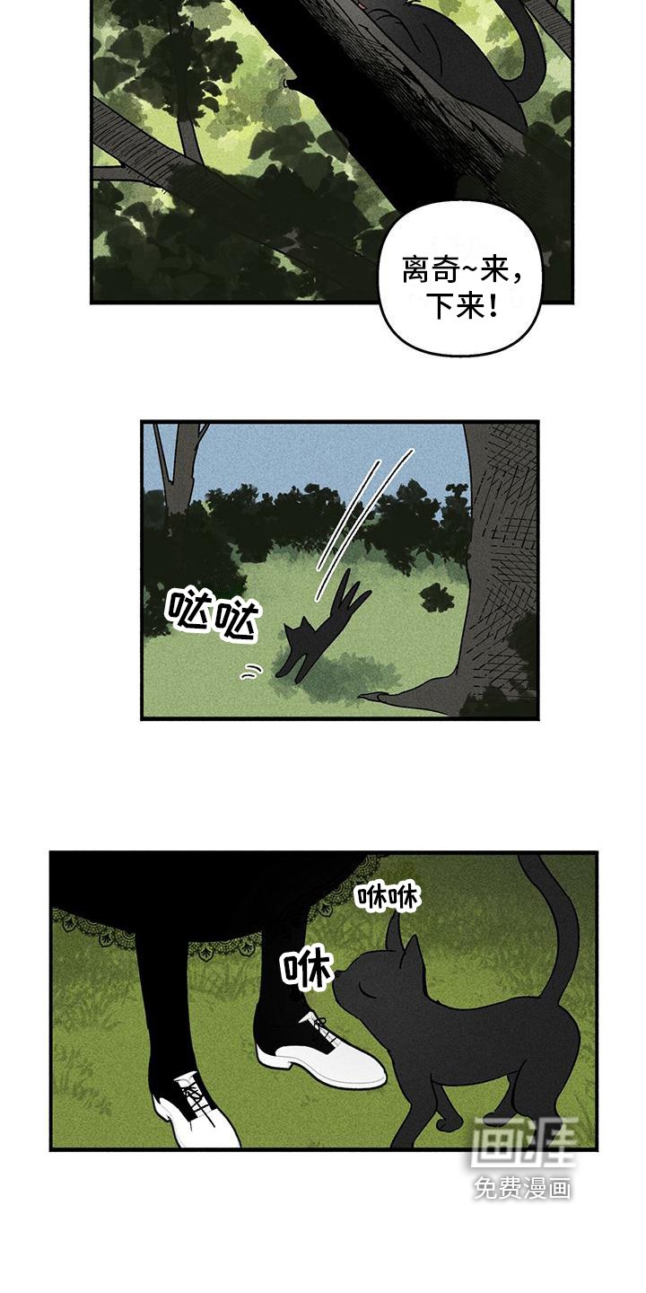 第25章：询问