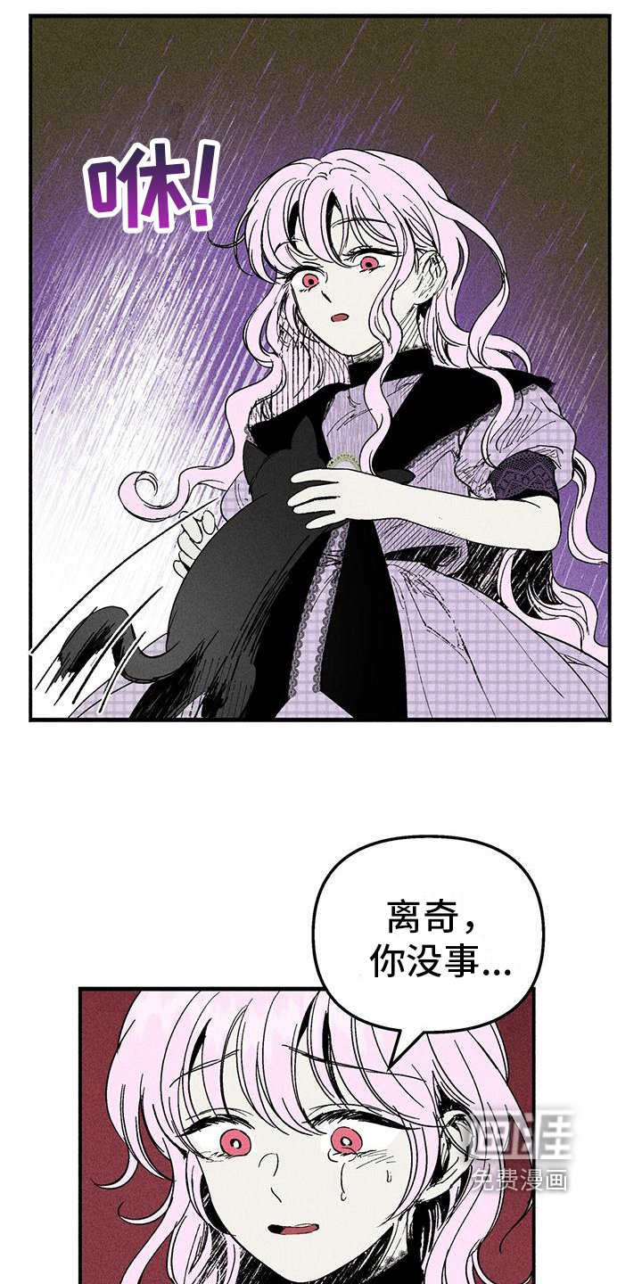 第25章：询问