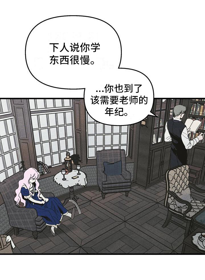 第30章：影子