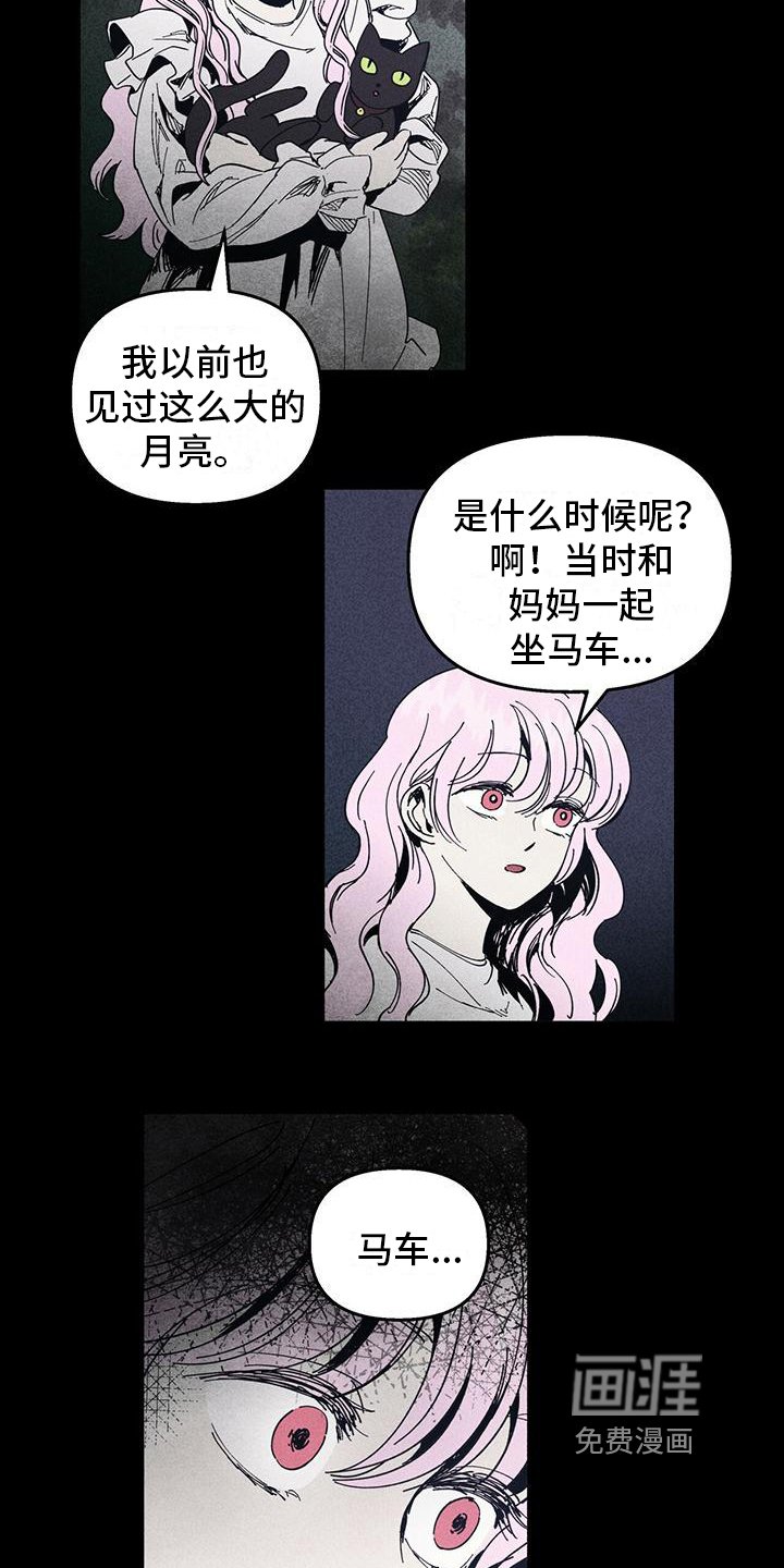 第31章：记忆缺失
