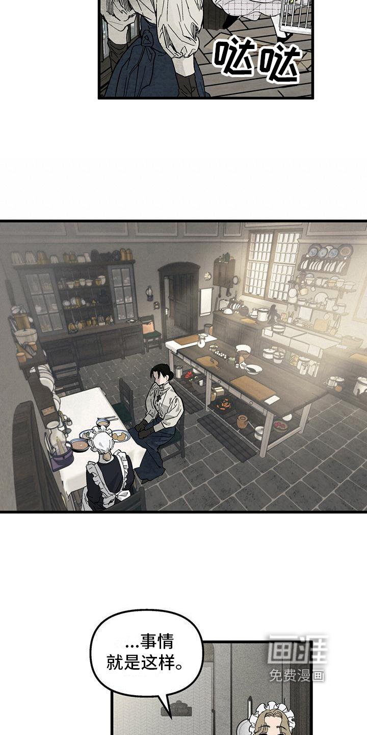 第8章：喂食