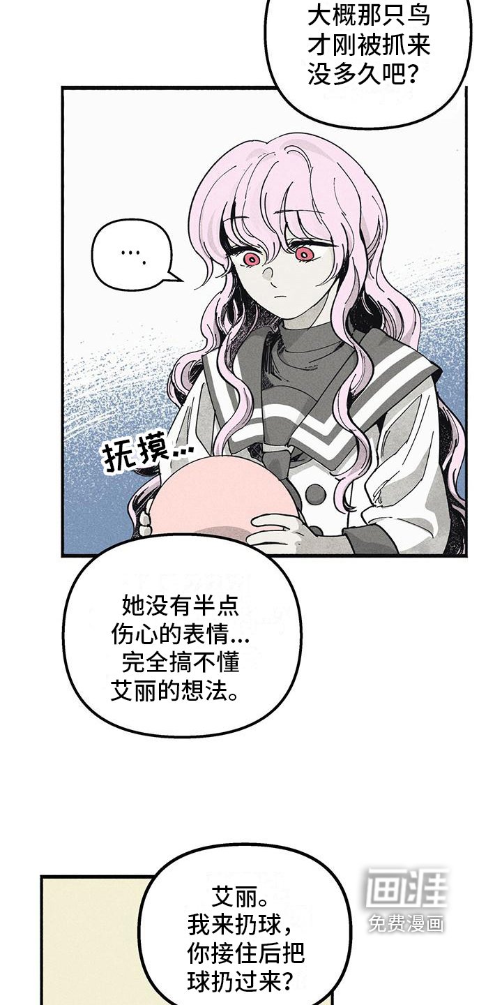 第9章：玩耍
