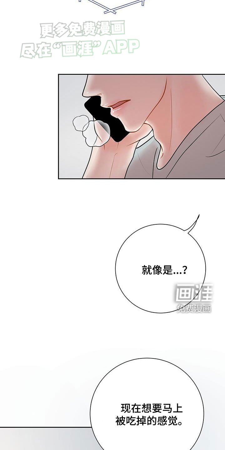 第40章：生日祝福