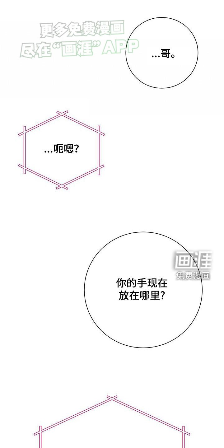 第40章：生日祝福