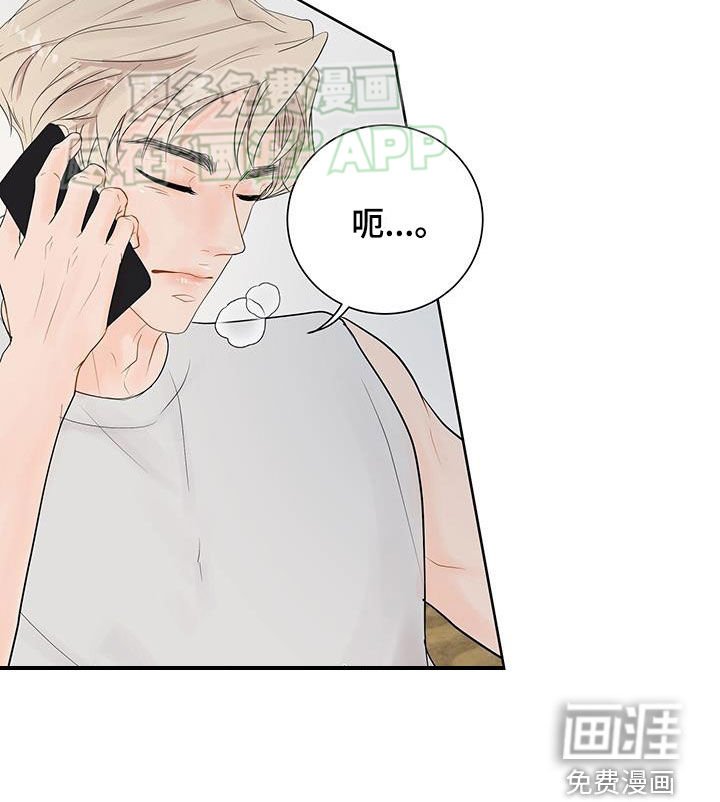 第40章：生日祝福