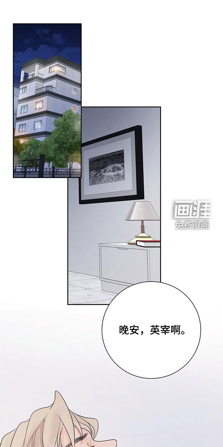 第51章：选择