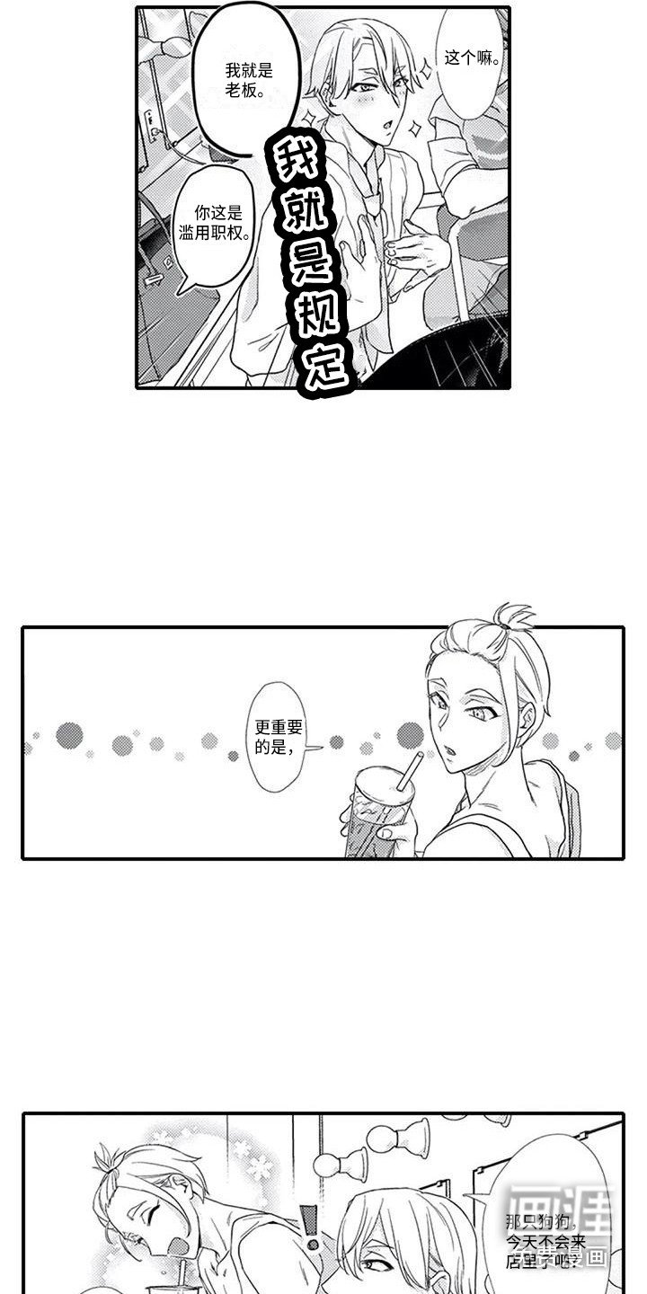 第13章：有些迷茫