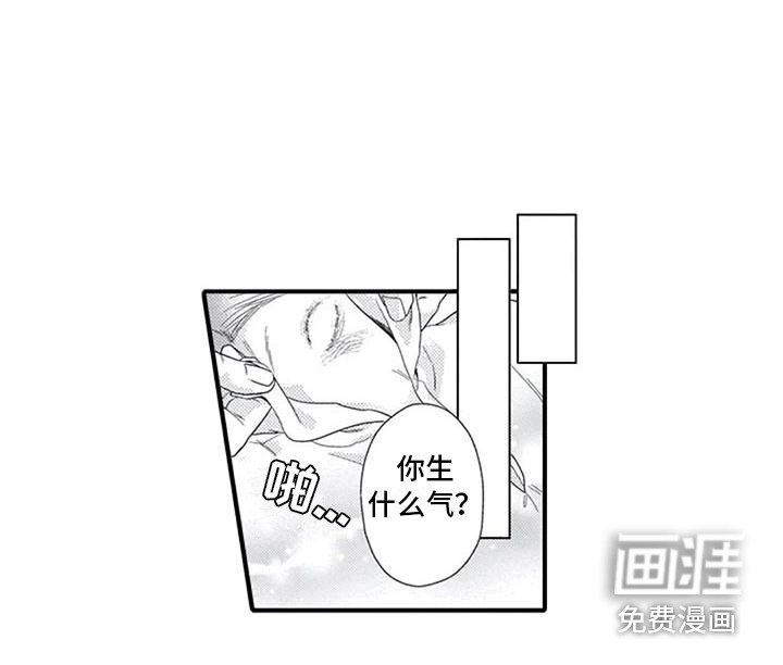 第17章：真心话