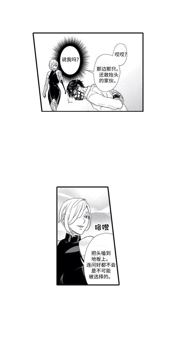 第3章：带回房间