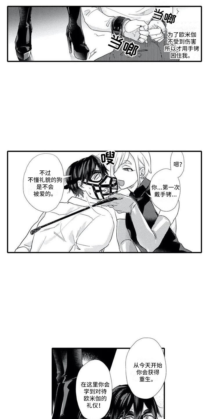 第3章：带回房间
