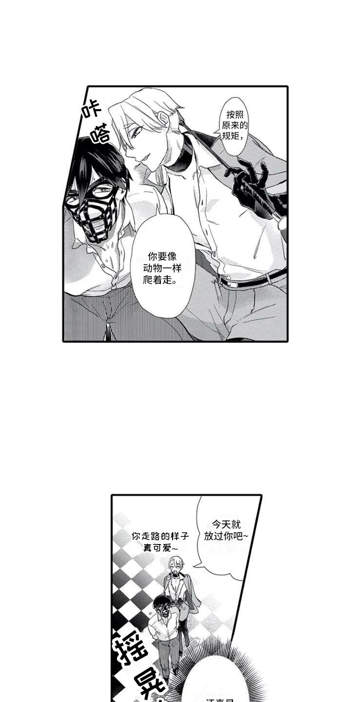 第3章：带回房间